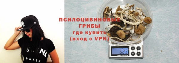 эйфоретик Алексин