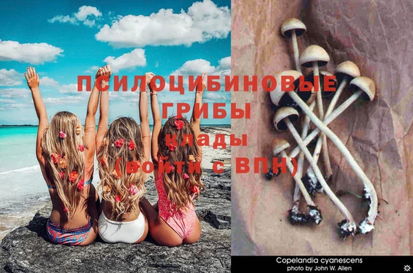 таблы Алексеевка