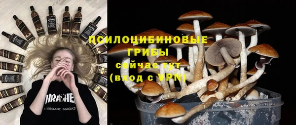 соль ск Аркадак