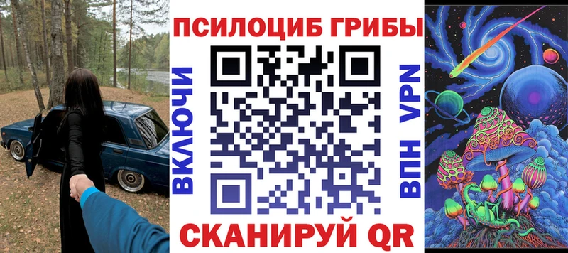 Псилоцибиновые грибы Psilocybe  где найти наркотики  сайты даркнета телеграм  Можга 